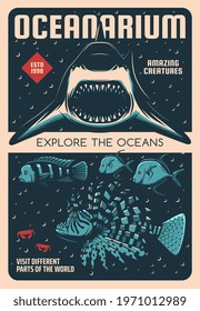 Oceanarium shark and exotic fishes retro vector poster. Ocean and tropical sea animals exhibition vintage banner. Shark with open maw, lionfish or zebrafish, blue dolphin cichlid and lookdown fish