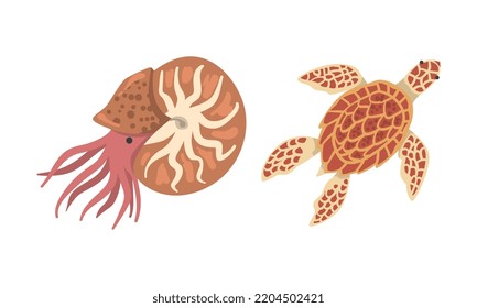 Oceanic and sea animals set. Shrimp, turtle marine inhabitants cartoon vector illustration