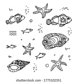 Oceanic and sea fish, starfish, shell. Drawing by liner. Isolated on a white background. Illustration of the inhabitants of the sea for coloring books, designs, prints. Drawn by hand. Vector.