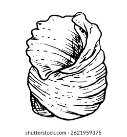 Oceanic shell, sketched in black and white ink. Vector marine illustration. A snail shell, twisted into spiral, from the underwater world, isolated on white background. For postcards and marine design