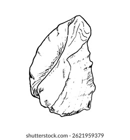 Oceanic shell, sketched in black and white ink. Vector marine illustration. A snail shell, twisted into spiral, from the underwater world, isolated on white background. For postcards and marine design