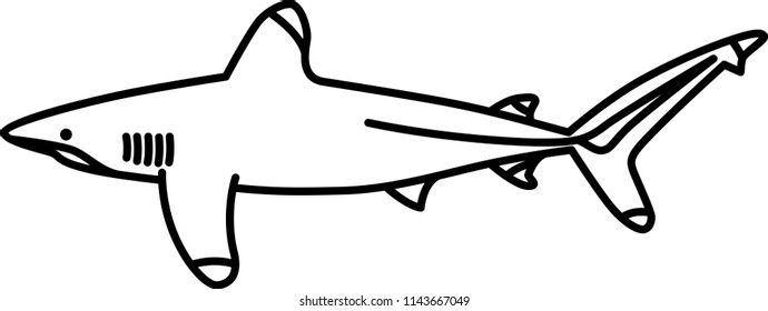 Oceanic White Tip Shark Icon