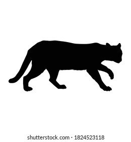 Ocelot (Leopardus pardalis) Walking On a Side View Silhouette Found In Map Of Central And South America. Good To Use For Element Print Book, Animal Book and Animal Content