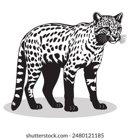 Ocelot outline and symbols. Dark level variety basic exquisite white foundation Ocelot animal vector and silhouette icon.