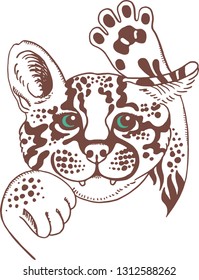 Ocelot print illustration