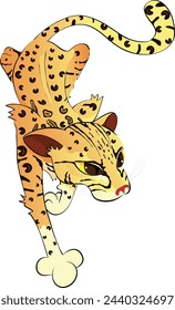 Ocelot - South American wild cat - no background