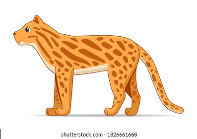 Ocelot standing on a white background. Cartoon style vector illustration