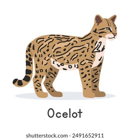 Ocelot vector illustration, cartoon clipart character, animal in flat style. Wild animals, wild creatures, wildlife concept. Tiger cat vector design isolated on white background