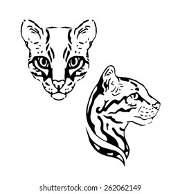 Ocelot vector set of graphic muzzles vector 