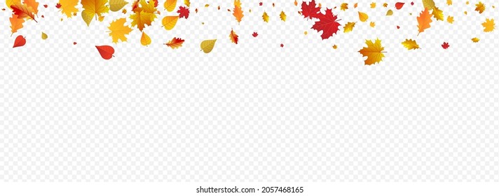 Ocher Floral Vector Panoramic Transparent Background. Tree Foliage Design. Red Flying Plant Illustration. Nature Frame.