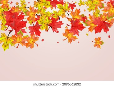 Ocher Foliage Background BeigeVector. Leaves October Design. Golden Decor Plant. Canadian Floral Illustration.