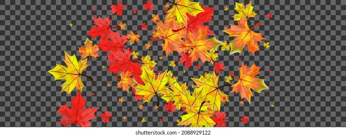 Vector transparente de fondo de flotación de ocre. Tarjeta de patrón floral. Planta de Árbol Rojo. Ilustración De La Hoja De Decoración.