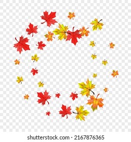 Ocher Foliage Background Transparent Vector. Plant Shape Texture. Red November Leaves. Season Floral Frame.