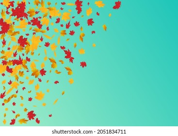 Ocher Foliage Vector Blue Background. Tree Leaf Frame. Yellow Abstract Plant Illustration. Realistic Card.