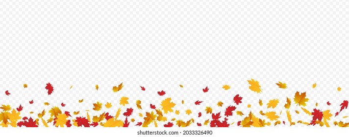 Ocher Foliage Vector Panoramic Transparent Background. Seasonal Leaf Frame. Brown Tree Floral Texture. Flying Template.