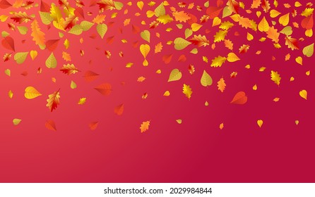Ocher Foliage Vector Red Background. Decor Leaf Illustration. Green September Floral Card. Ground Template.