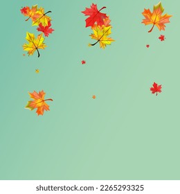 Ocher Leaf Background Green Vector. Leaves Ground Design. Autumnal Flying Plant. Decoration Foliage Card.