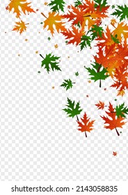 Ocher Leaf Background Transparent Vector. Leaves Single Frame. Golden Bright. Canada Texture. Yellow Plant Shape.