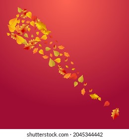 Ocher Leaf Vector Red Background. Bright Floral Template. Yellow Nature Foliage Card. Decoration Frame.