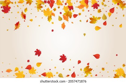 Ocher Leaf Vector Transparent Background. September Foliage Texture. Golden Tree Plant Template. Paper Design.