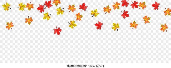 Ocher Leaves Background Transparent Vector. Plant Shape Design. Green November Floral. October Foliage Illustration.