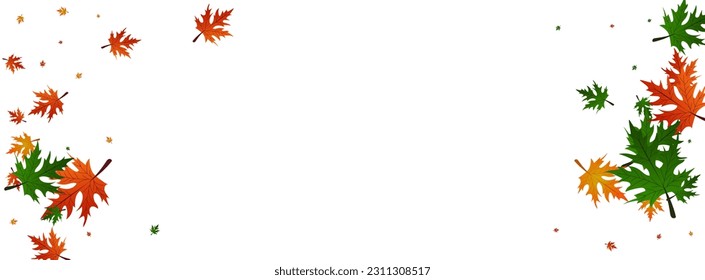 El Petróleo Deja El Vector Blanco De Fondo. Textura de la naturaleza vegetal. Temporada amarilla. Diseño estacional. Foliage rojo canadiense.