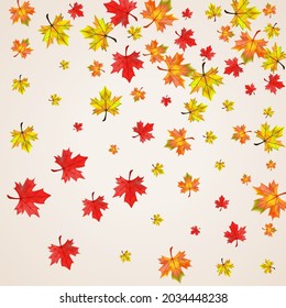Vector Beige de fondo de la planta de Petróleo. Deja El Marco De La Decoración. Foliage verde de octubre. Diseño de hojas naturales.