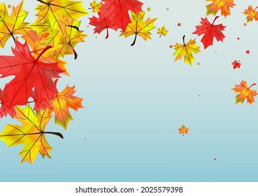 Vector azul de fondo de la planta de ocher. Deja La Plantilla Voladora. Hojas Naranja Brillantes. Ilustración de diseño de follaje.