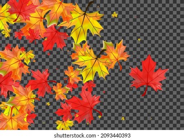 Ocher Plant Background Transparent Vector. Foliage October Illustration. Colorful Design Leaf. Isolated Floral Template.