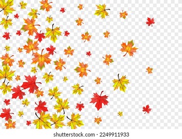 Ocher Plant Background Transparent Vector. Leaves Design Design. Brown Ground Floral. September Leaf Texture.