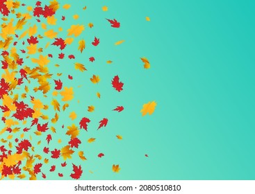 Ocher Plant Vector Blue Background. November Leaf Design. Colorful Design Foliage Frame. Decoration Template.