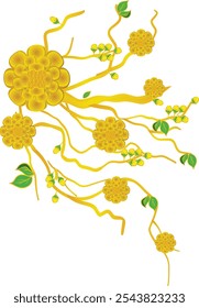 Ochna blossom (flor de damasco) ilustração vetor plana. Arte e Ilustração