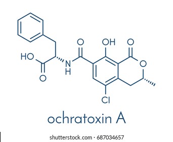 Ochratoxin A mycotoxin molecule. Skeletal formula.