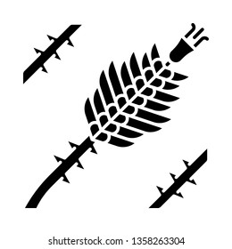 Ocotillo glyph icon. Fouquieria splendens. Exotic flower. Thorny blooming plant. Silhouette symbol. Negative space. Vector isolated illustration