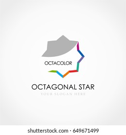 Octagonal Star Colorful Logo