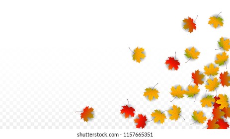 October Vector Background with Golden Falling Leaves. Autumn Illustration with Maple Red, Orange, Yellow Foliage. Isolated Leaf on Transparent Background. Bright Swirl. Suitable for Banners.