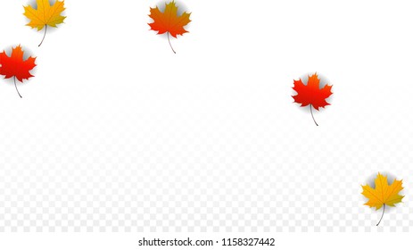 October Vector Background with Golden Falling Leaves. Autumn Illustration with Maple Red, Orange, Yellow Foliage. Isolated Leaf on Transparent Background. Bright Swirl. Suitable for Covers.