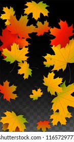 October Vector Background with Golden Falling Leaves. Autumn Illustration with Maple Red, Orange, Yellow Foliage. Isolated Leaf on Transparent Background. Bright Swirl. Suitable for Flyers.