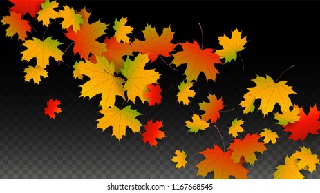 October Vector Background with Golden Falling Leaves. Autumn Illustration with Maple Red, Orange, Yellow Foliage. Isolated Leaf on Transparent Background. Bright Swirl. Suitable for Cards.