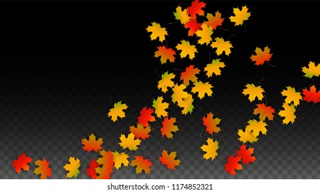 October Vector Background with Golden Falling Leaves. Autumn Illustration with Maple Red, Orange, Yellow Foliage. Isolated Leaf on Transparent Background. Bright Swirl. Suitable for Covers.