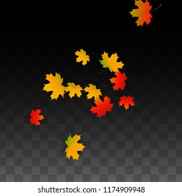 October Vector Background with Golden Falling Leaves. Autumn Illustration with Maple Red, Orange, Yellow Foliage. Isolated Leaf on Transparent Background. Bright Swirl. Suitable for Posters.