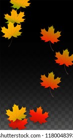 October Vector Background with Golden Falling Leaves. Autumn Illustration with Maple Red, Orange, Yellow Foliage. Isolated Leaf on Transparent Background. Bright Swirl. Suitable for Banners.