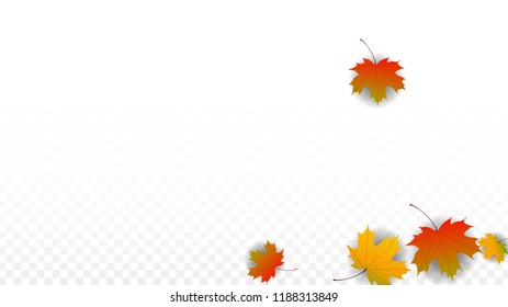 October Vector Background with Golden Falling Leaves. Autumn Illustration with Maple Red, Orange, Yellow Foliage. Isolated Leaf on Transparent Background. Bright Swirl. Suitable for Posters.