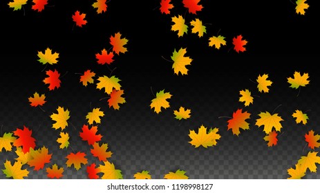 October Vector Background with Golden Falling Leaves. Autumn Illustration with Maple Red, Orange, Yellow Foliage. Isolated Leaf on Transparent Background. Bright Swirl. Suitable for Covers.