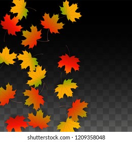 October Vector Background with Golden Falling Leaves. Autumn Illustration with Maple Red, Orange, Yellow Foliage. Isolated Leaf on Transparent Background. Bright Swirl. Suitable for Flyers.