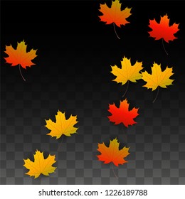 October Vector Background with Golden Falling Leaves. Autumn Illustration with Maple Red, Orange, Yellow Foliage. Isolated Leaf on Transparent Background. Bright Swirl. Suitable for Flyers.