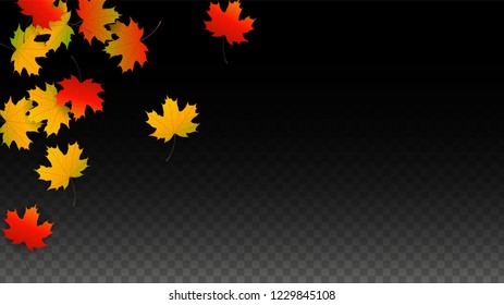 October Vector Background with Golden Falling Leaves. Autumn Illustration with Maple Red, Orange, Yellow Foliage. Isolated Leaf on Transparent Background. Bright Swirl. Suitable for Cards.