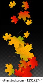 October Vector Background with Golden Falling Leaves. Autumn Illustration with Maple Red, Orange, Yellow Foliage. Isolated Leaf on Transparent Background. Bright Swirl. Suitable for Cards.