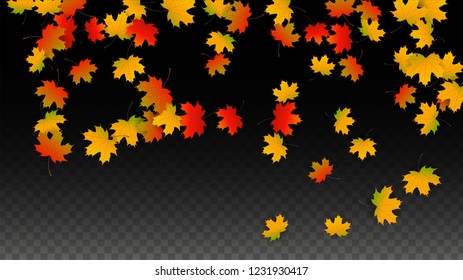 October Vector Background with Golden Falling Leaves. Autumn Illustration with Maple Red, Orange, Yellow Foliage. Isolated Leaf on Transparent Background. Bright Swirl. Suitable for Cards.