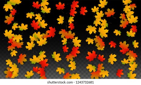 October Vector Background with Golden Falling Leaves. Autumn Illustration with Maple Red, Orange, Yellow Foliage. Isolated Leaf on Transparent Background. Bright Swirl. Suitable for Cards.